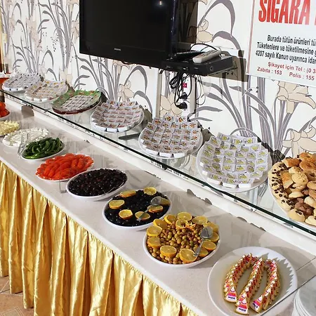 Hotel Talaslioglu Kayseri
