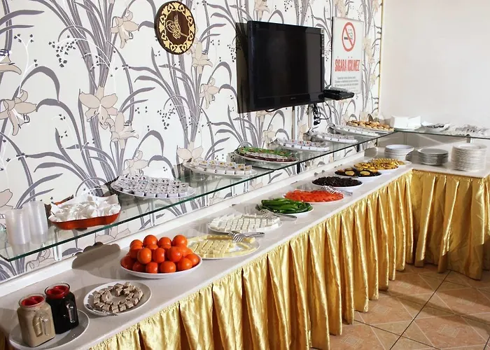 塔拉斯丽奥古力酒店 2* 开塞利