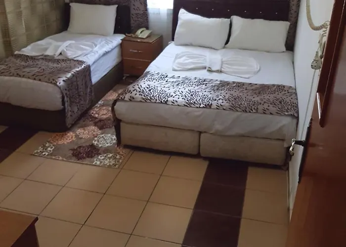 Talaslioglu Hotel 2*